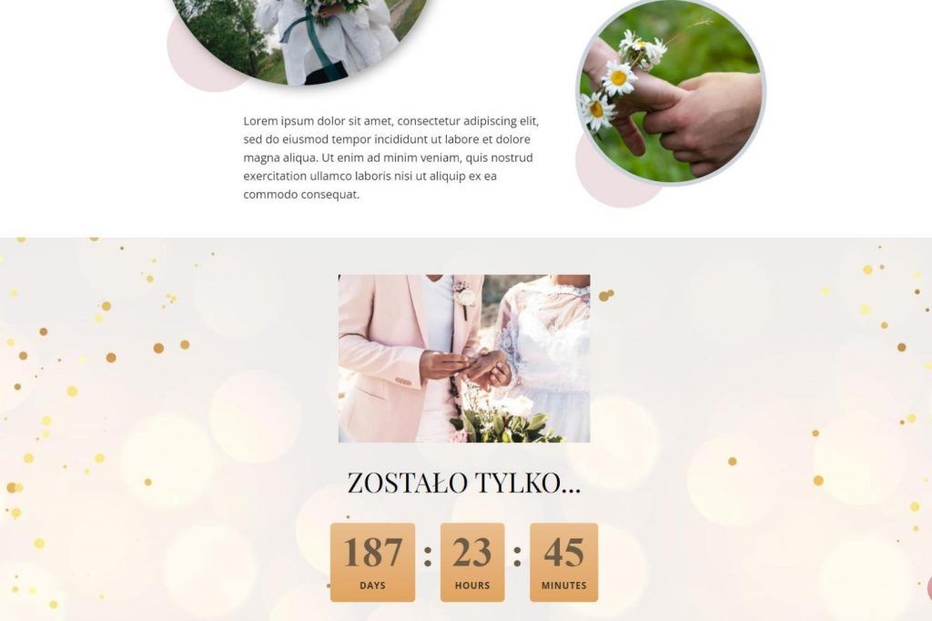 internetowa wizytówka dnia ślubu i wesela - ile dni pozostało